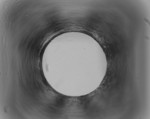 X0000097860146200803140904