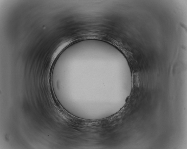X0000097860147200803140904