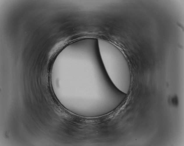 X0000097860149200803140904