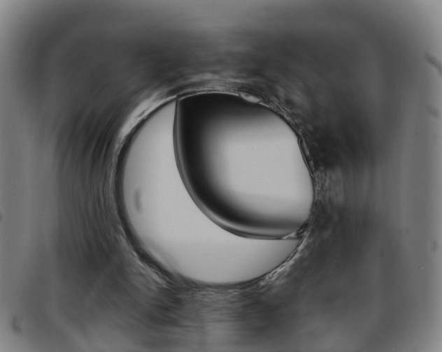 X0000097860150200803140904