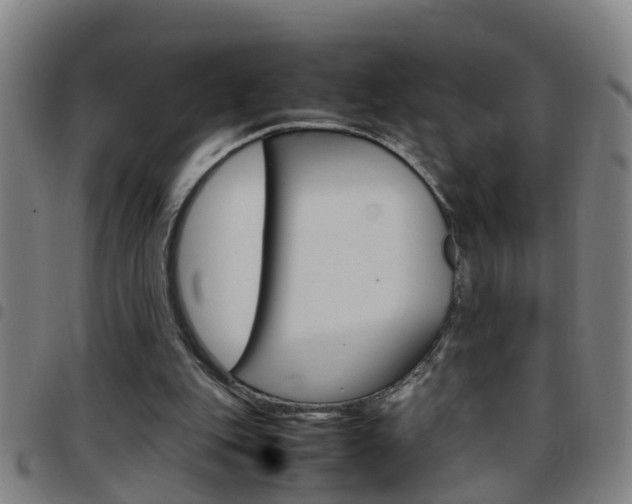 X0000097860151200803140904