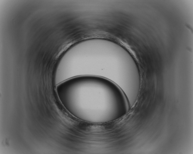 X0000097860154200803140904