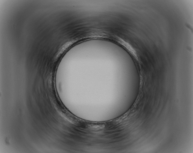 X0000097860155200803140904