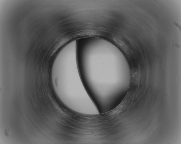 X0000097860158200803140904