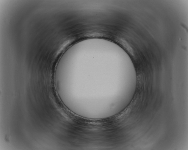 X0000097860159200803140904