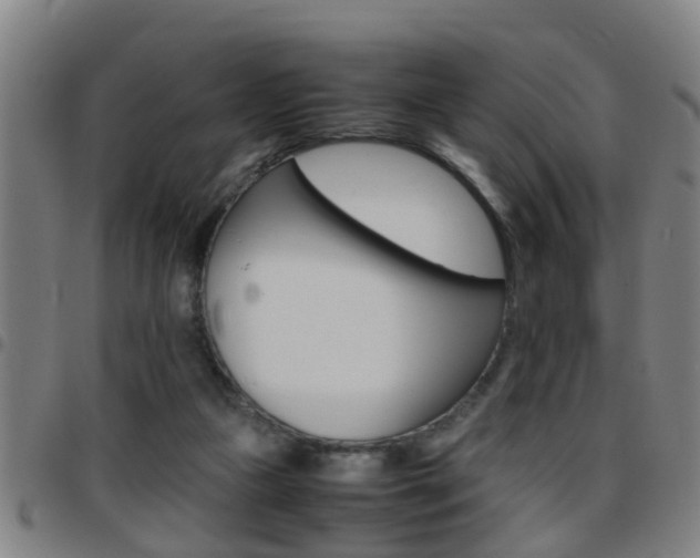 X0000097860161200803140904