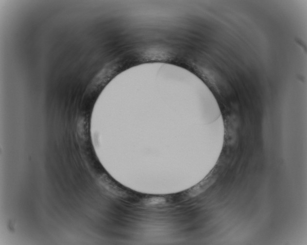 X0000097860162200803140904