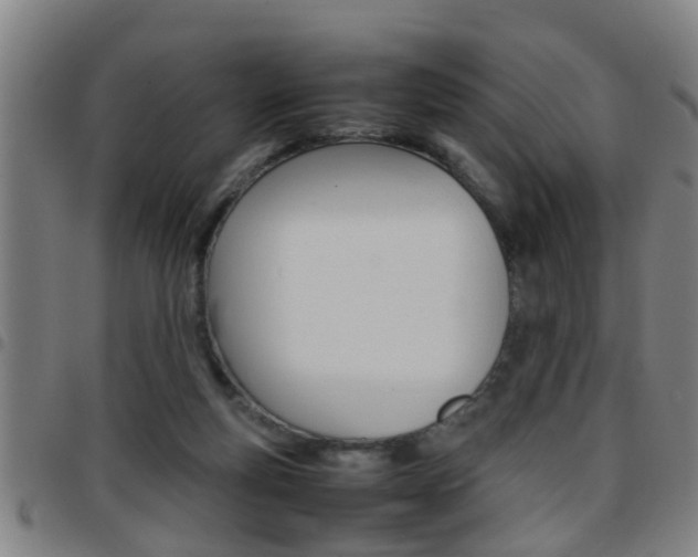 X0000097860163200803140904