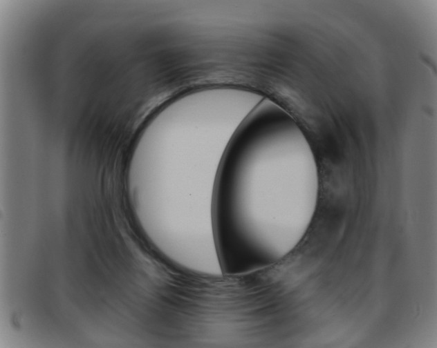 X0000097860164200803140904