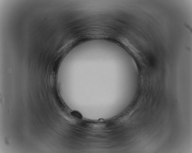 X0000097860165200803140904