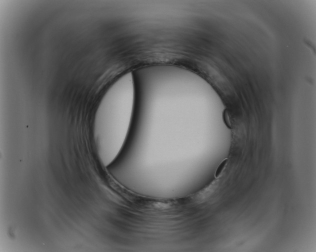X0000097860166200803140904