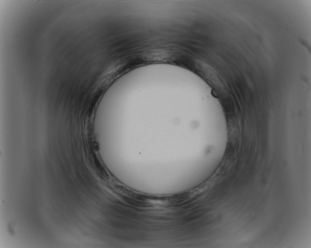 X0000097860167200803140904