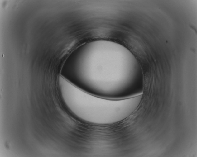 X0000097860168200803140904