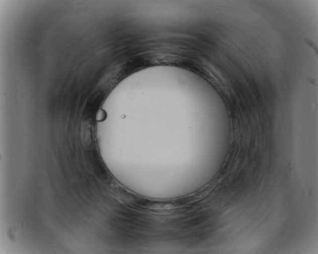 X0000097860169200803140904