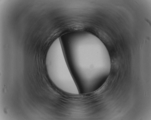 X0000097860170200803140904