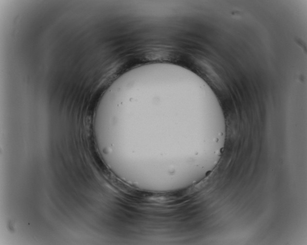 X0000097860171200803140904