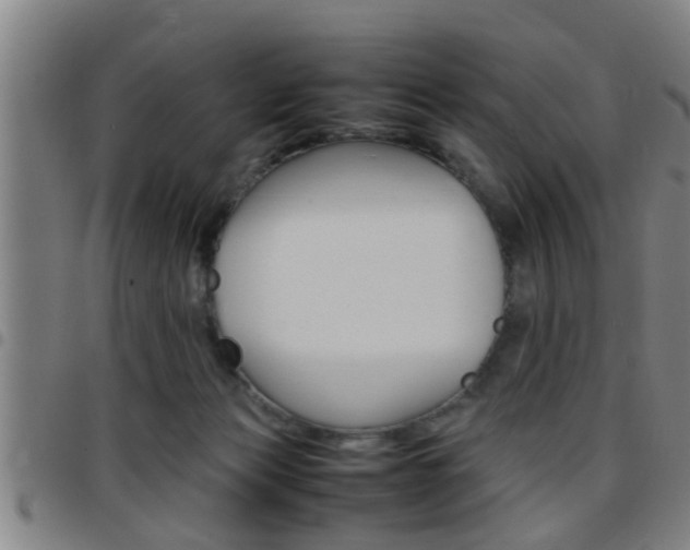 X0000097860173200803140904