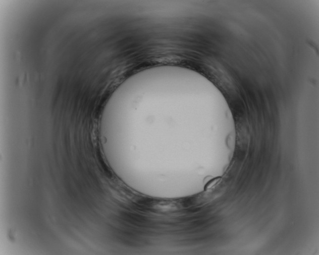 X0000097860175200803140904