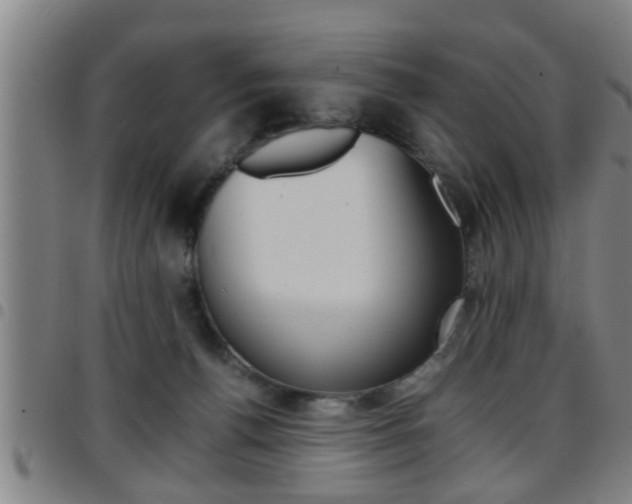 X0000097860176200803140904