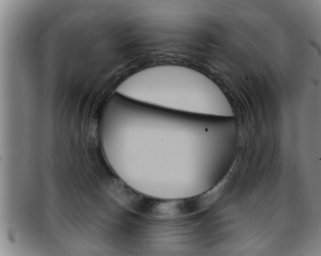 X0000097860178200803140904