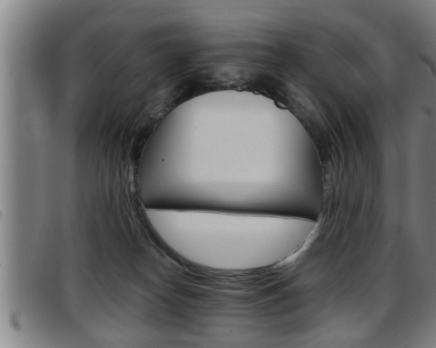 X0000097860182200803140904