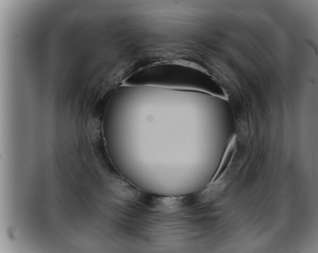 X0000097860184200803140904
