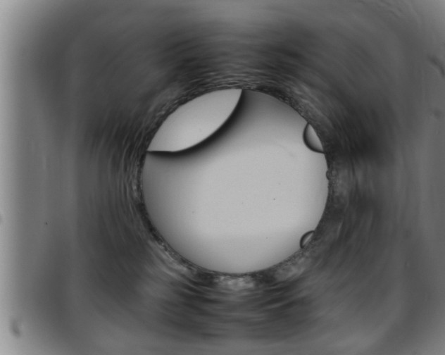 X0000097860185200803140904