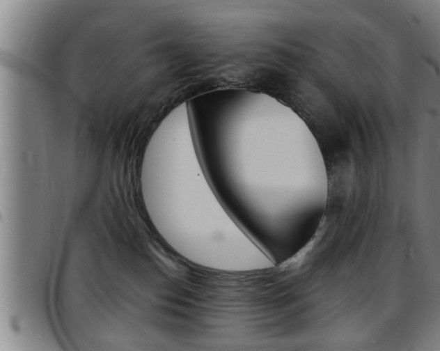 X0000097860186200803140904