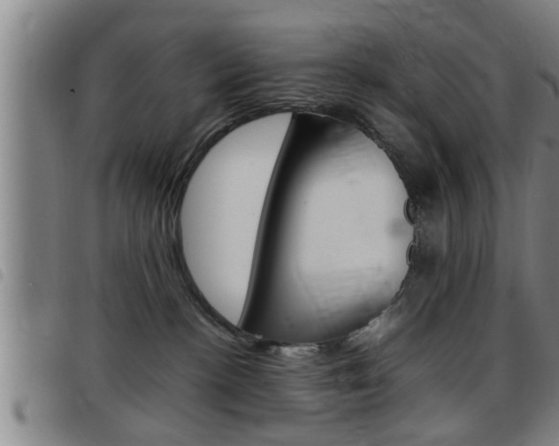 X0000097860188200803140904