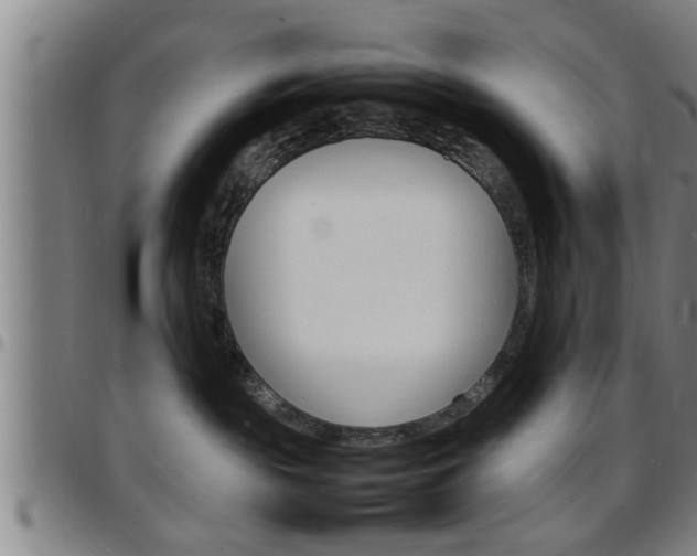 X0000097860189200803140904