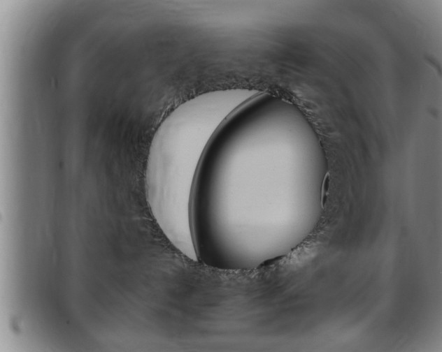 X0000097860192200803140904