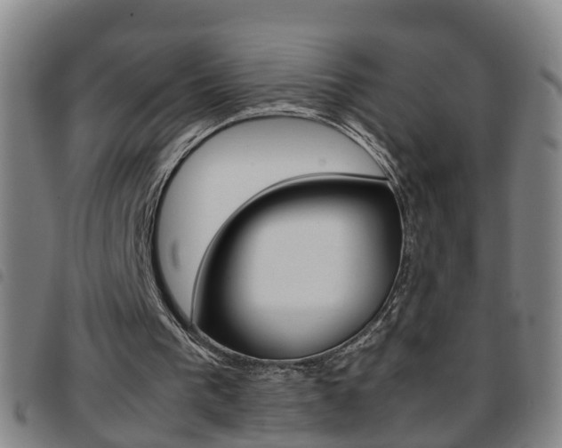X0000097860193200803140904