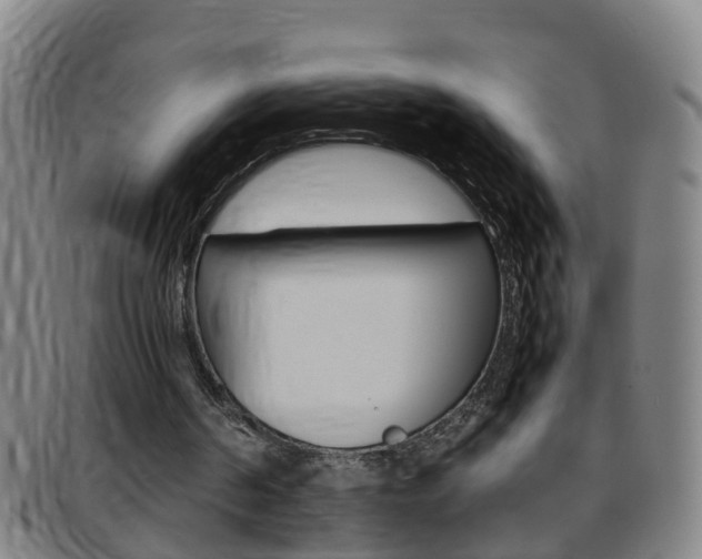 X0000097860194200803140904