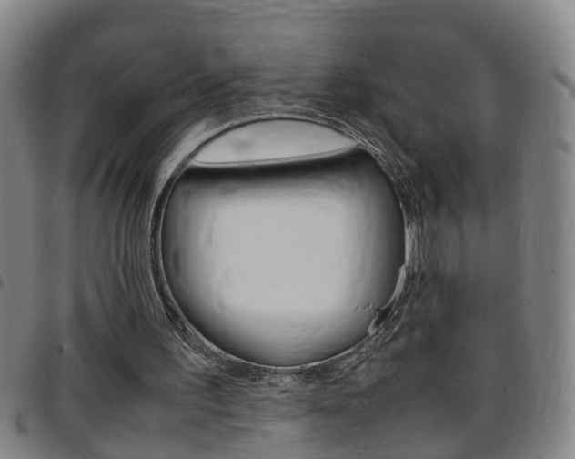 X0000097860195200803140904