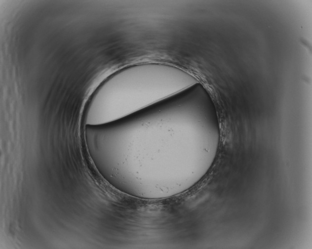 X0000097860196200803140904