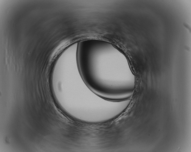 X0000097860197200803140903