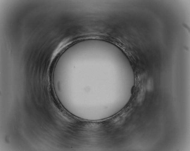 X0000097860198200803140903