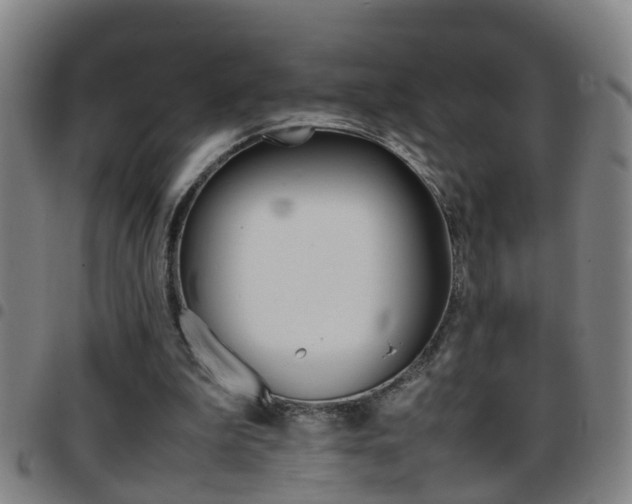 X0000097860199200803140903
