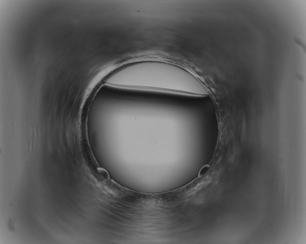 X0000097860200200803140903