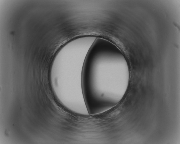X0000097860201200803140903