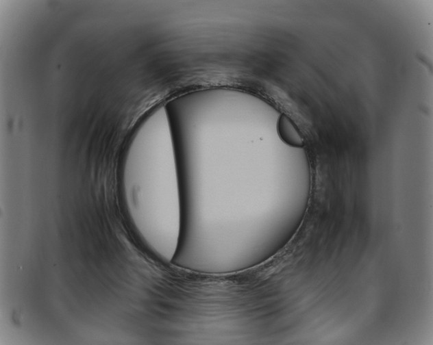 X0000097860202200803140903