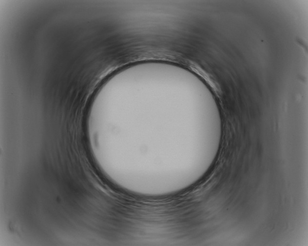 X0000097860203200803140903