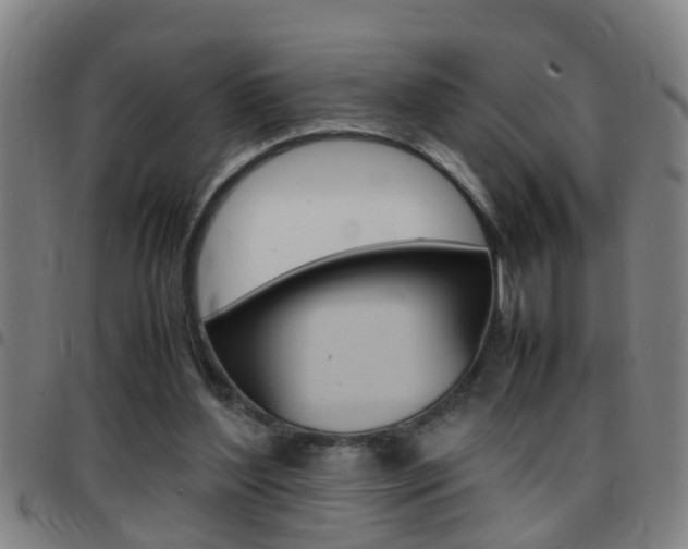 X0000097860204200803140903