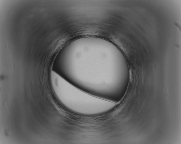 X0000097860205200803140903