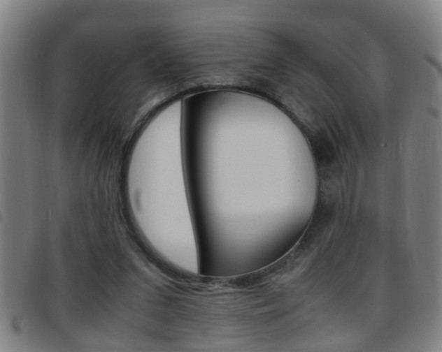 X0000097860207200803140903
