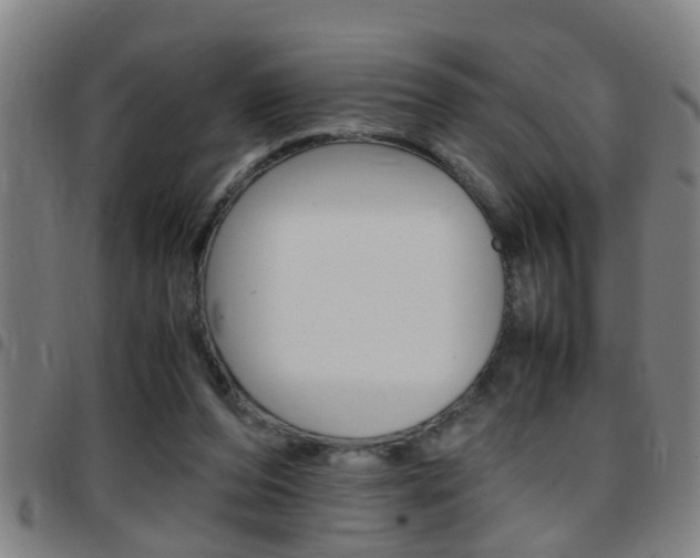 X0000097860208200803140903