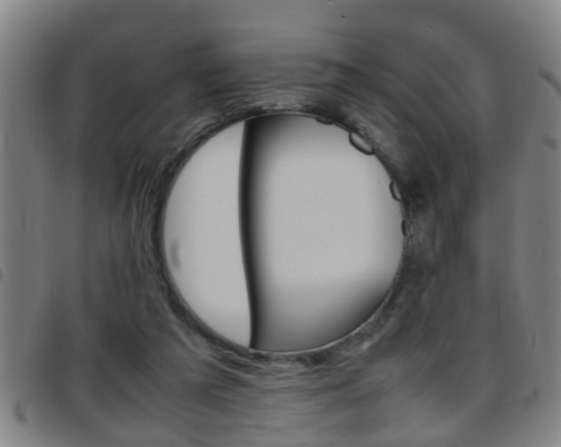 X0000097860209200803140903