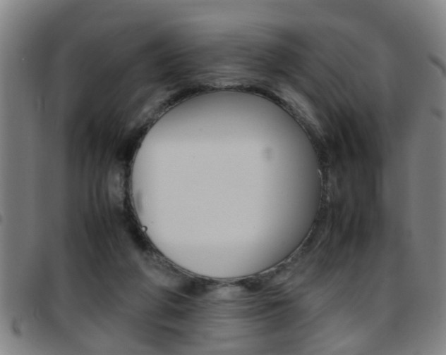 X0000097860210200803140903