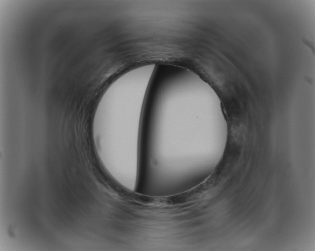 X0000097860211200803140903