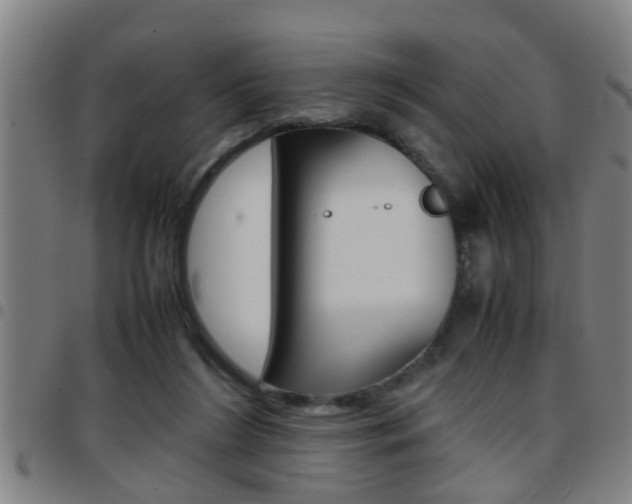 X0000097860212200803140903